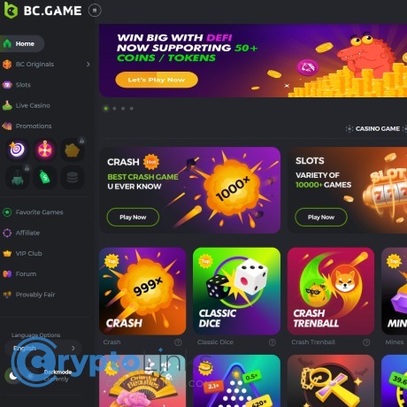 Experience the Thrill of BC.Game Casino