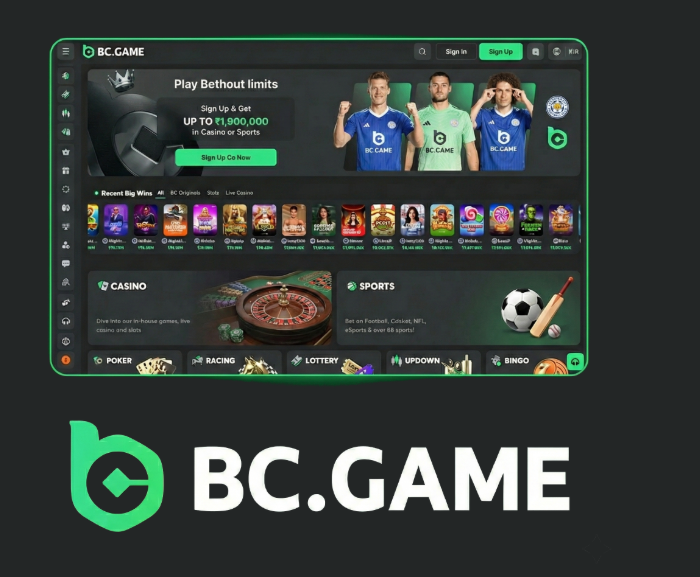 A Comprehensive Guide to BC.Game Casino Your Gateway to Online Gaming